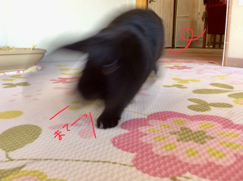 0763E05B-10E1-445A-A2B5-1671FAE9B7B0