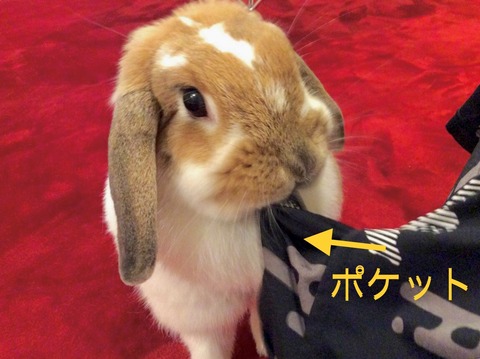 E77D6145-F2C6-4DD9-BB86-038247C11F9F