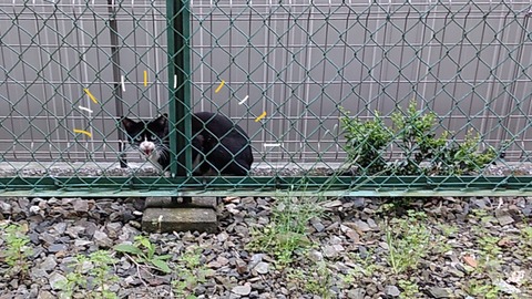 0425F953-EBC4-4183-A746-0DF1B8303984