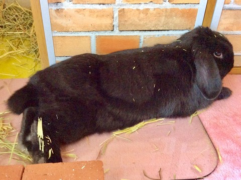 FE0F4F7B-987D-4EF3-ACD3-DA1A95DF4FD8