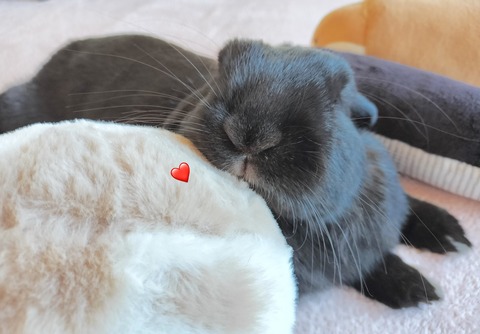 ED8B712F-A9D3-478F-9A5A-074D4E227B27