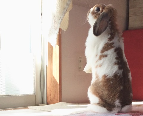 C01C945C-6142-4380-AF24-AC58FB985210