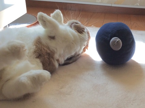 7388A880-72BC-41E5-A889-560115D63824