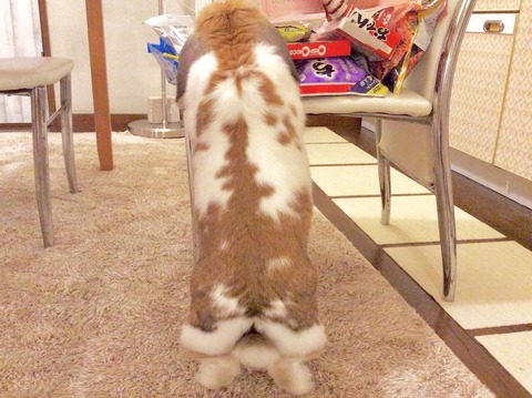 1DA4544C-8F54-4347-85EB-E0B5C4A8E2FC