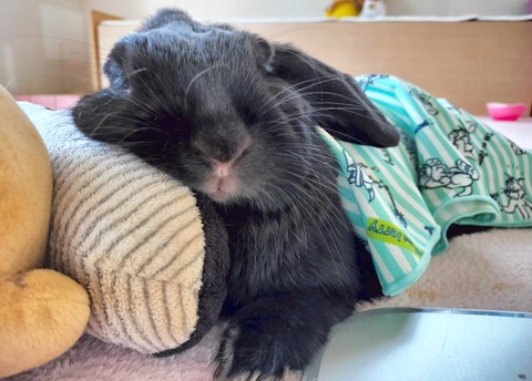 E87C621B-69CF-4694-BB3C-934A0C37B3F9