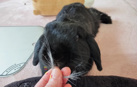 B56185EF-F9C5-47F1-9CC7-A61E43266C39