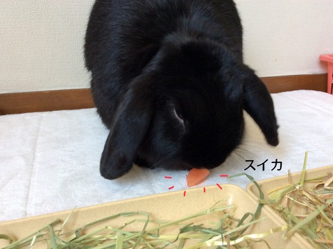 FC9DA039-0062-45EC-9E8A-398FE6612FCD