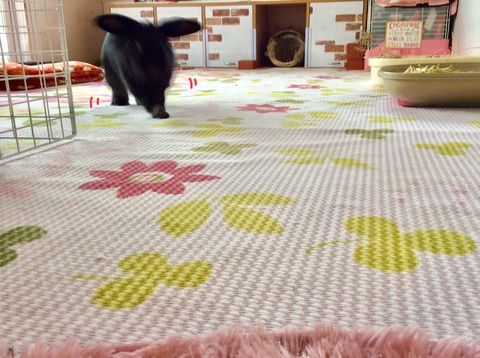 858979D3-1F12-44BE-B66E-93896B61613B