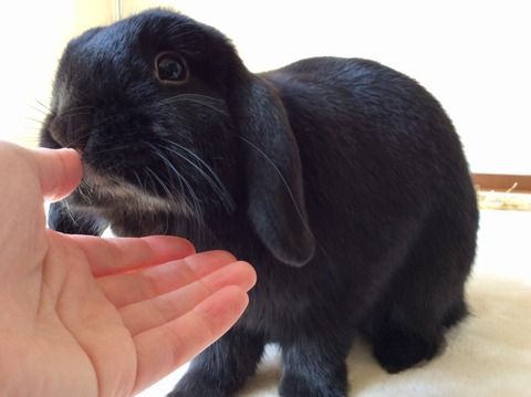 8D995ABB-FE4F-40B8-BB06-E807F2DD40A3