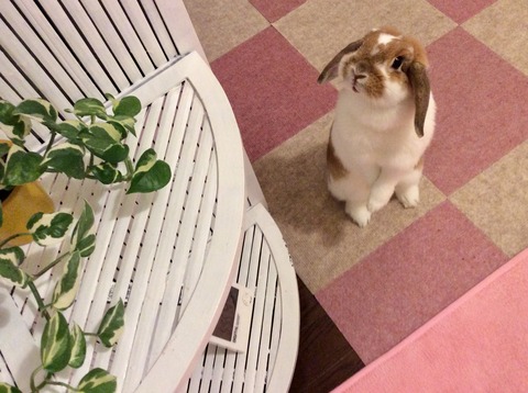 C17EBC31-CCAA-489A-9DAB-A44A6DB9A518