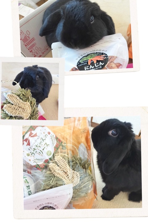 E5460C12-8B7C-4675-AB89-0376B7A3093C