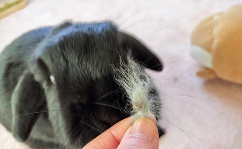 B00D09FC-9EC3-4B1A-A697-BC86D585CB63