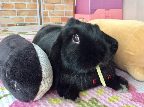 0BEE0188-926E-439B-A2A8-958E373CE27D