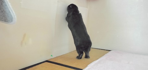 18E42F4A-E26E-4CD5-AE85-CEB6B23752E6