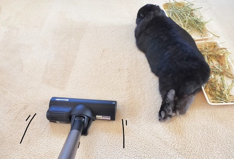 F57D1174-A818-45E4-ADED-B247FA12DF92