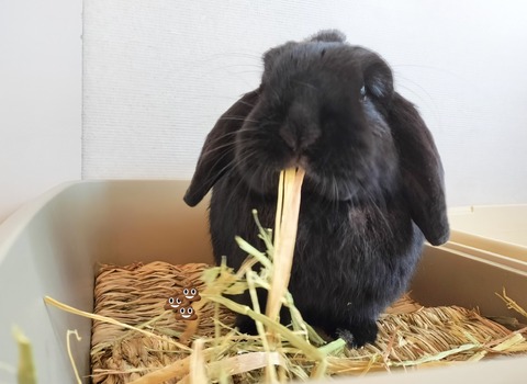 333F4F36-C647-48A9-8E07-739785BD909A