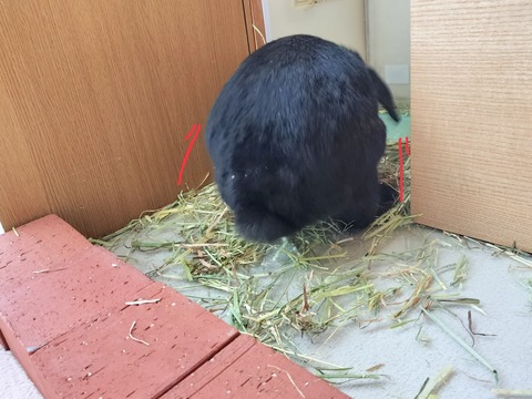 445F5925-86CC-42D7-8F0F-AFF76901CDB5