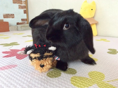 F23A43CD-8F17-489F-B181-9C6EC5132BD5