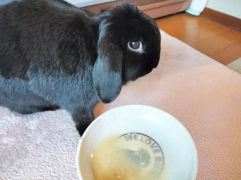 1D0BE269-D56A-43AD-A153-C779ABA45CCC