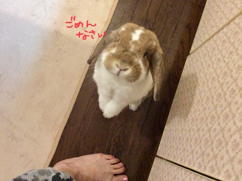 4C2C768C-678C-4760-900A-B988A6D82E87