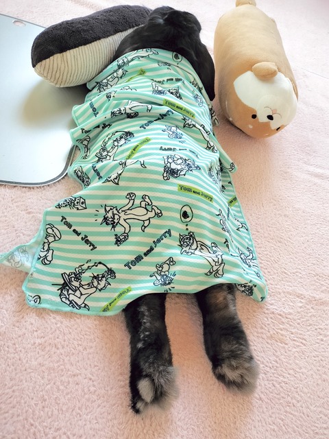 97DA0296-A70A-4F39-A8D3-BDBEE12DE16B