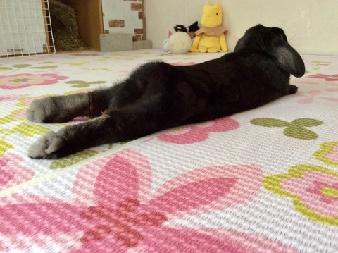 76E3856F-05EA-45FC-8026-E79DC7DBEE61