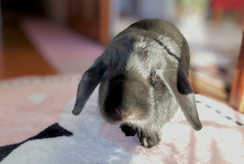 7DB3D13B-FE73-4406-953C-6E1C0E96E9D7