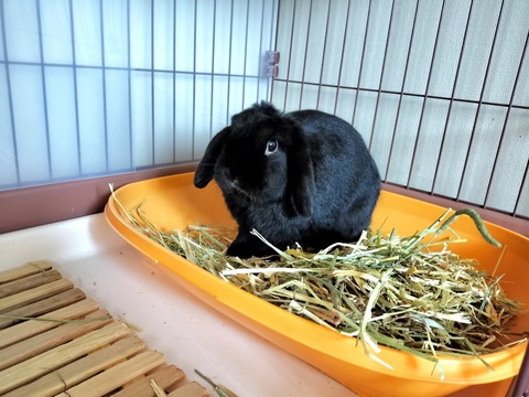 9CEE81FF-91E0-451B-8AD5-30E81D63D8F2