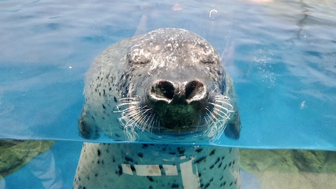 25ECC8BB-E6CA-4381-A7E8-DE3D7A7B4A66