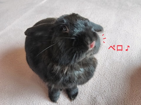 DE46CA8E-B249-4E8C-BB32-D662DAA5309A