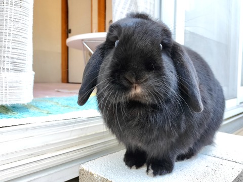 4C203729-BFDF-4321-864D-0221B8E1B9E4