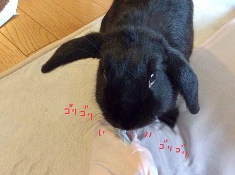 4E5AB7BD-7051-407E-8592-F6CAADBC21AB