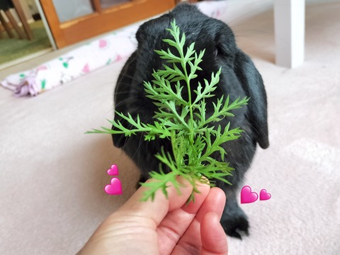 4D7B1D67-CF95-4CDA-87F5-813C92C72311