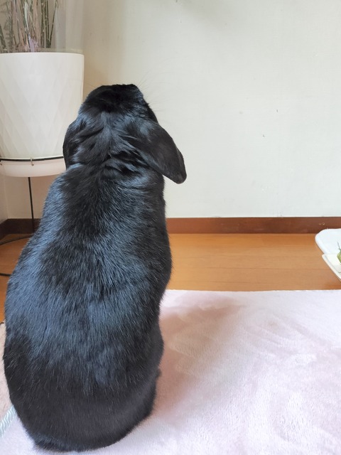 458F6334-A901-4A34-B823-59F82B639C7F