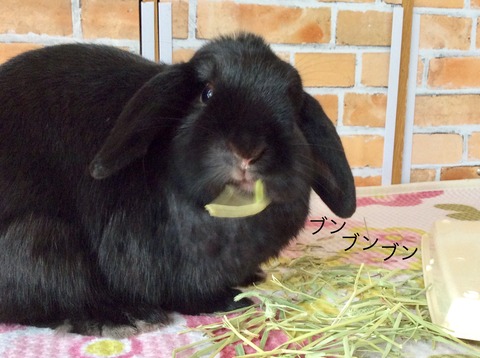 153DE321-5EDF-4539-A366-0B1D2D7AD56D