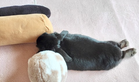 09FEFDDA-9F0F-4EC8-9647-CCEF7978DBAB