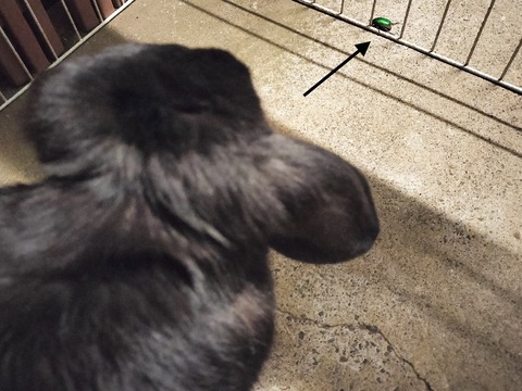 5B76304E-7D39-4D55-9DC0-24B13B67511A