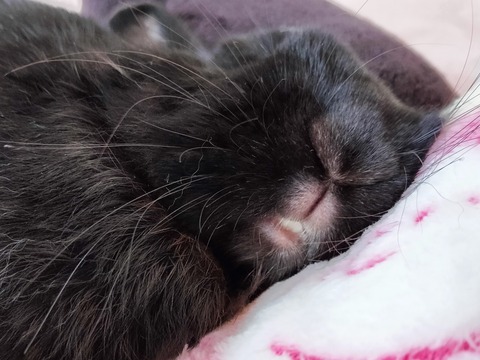 82898327-6F02-4F6C-A461-F14BE44FBC54