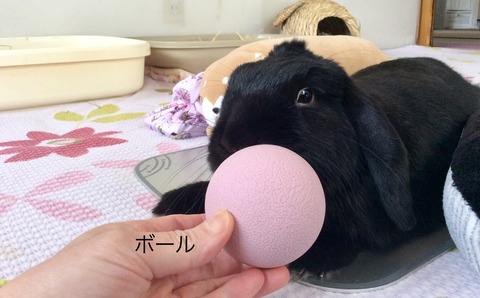 BB6BD028-7049-4360-BF53-CC064B4303FC