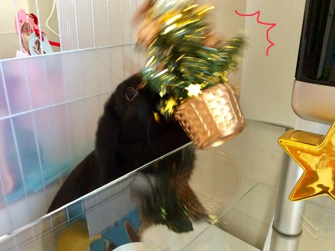 A784C8C8-2CBA-45BD-BB0E-D8C638253582