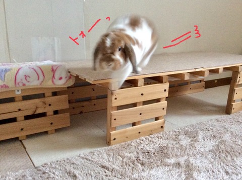 EB31509F-E797-4B73-B8BA-2D8DD8A0873B