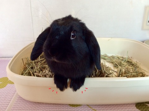 0A0A45C8-2F0D-49BE-83E5-459DF25382E7