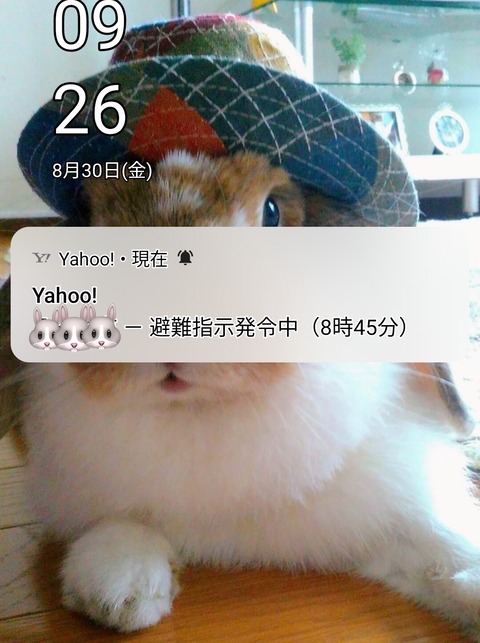 9202F318-C5E1-41C3-842B-0409901AAE40