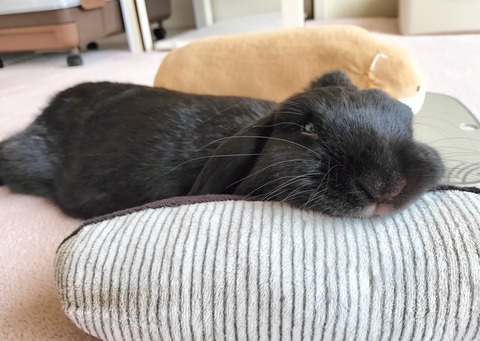 BAA61AB2-8152-408F-9ED7-11EC5EF8AEE5