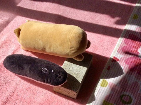 4C1B910E-FA1C-4115-9F05-AB6C11EEC7D5