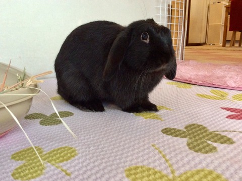 92EF3608-64FB-4F54-9827-7C9D786972FB