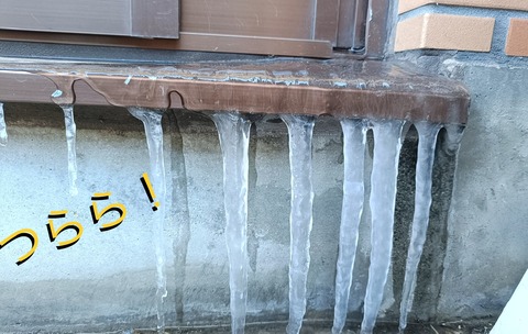 46B98AB3-EF56-4872-90A1-125B9E212894