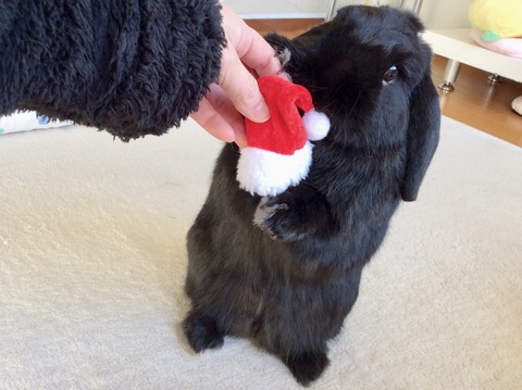 735868C6-715A-4B0F-9AE7-96438FDF1B30