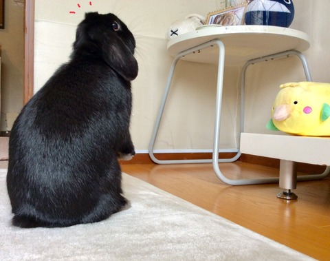 A3829EB5-5810-4192-9A68-BCB06CFD31EE