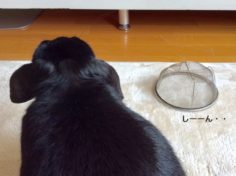 C34778A7-9072-4D56-9B1B-555793F3FE35